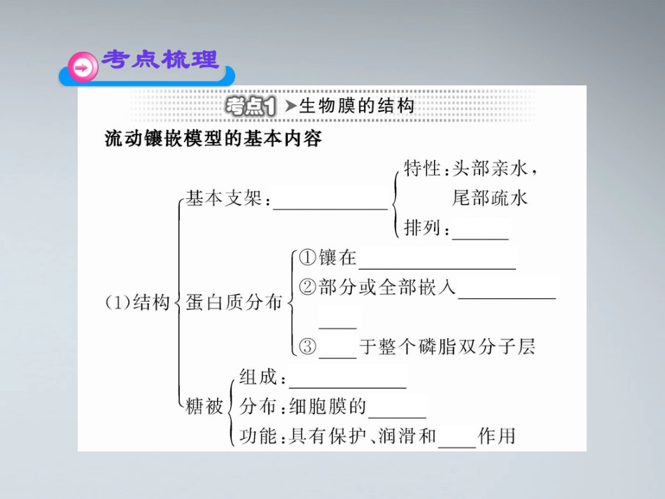 高中生物复习 生物膜的流动镶嵌模型物质跨膜运同步课件 新人教版必修1_第3页
