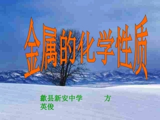 初三化学下学期金属的化学性质