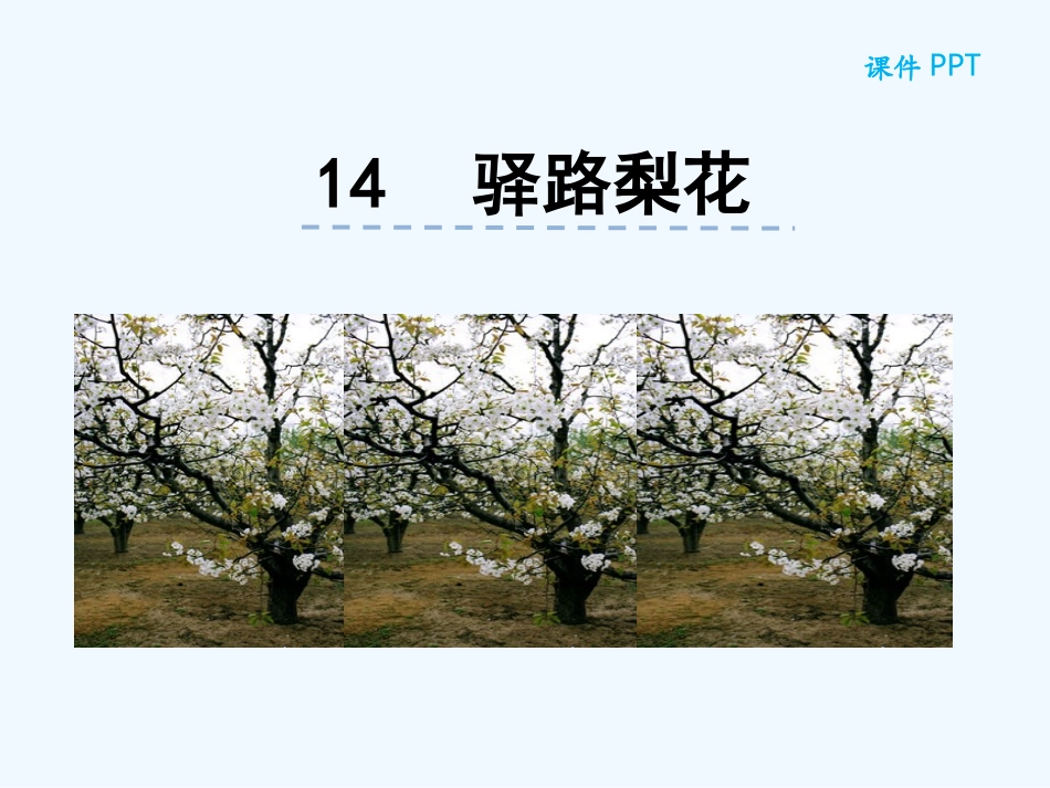 (部编)初中语文人教2011课标版七年级下册14.驿路梨花-(3)_第1页