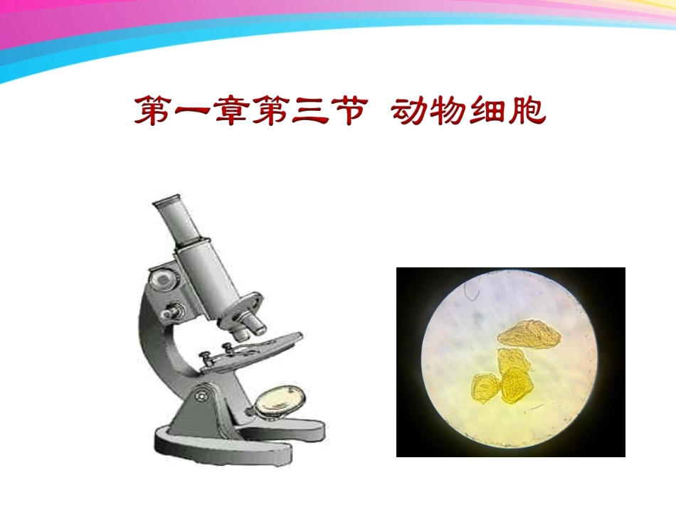 《动物细胞》_第1页
