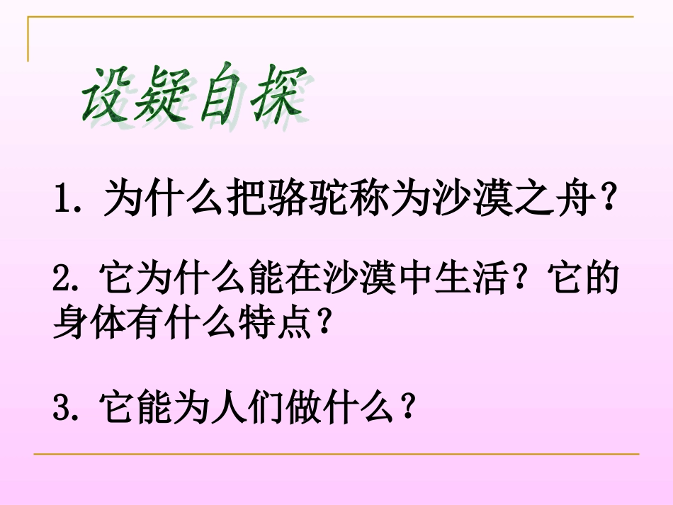 沙漠之舟2011_第3页