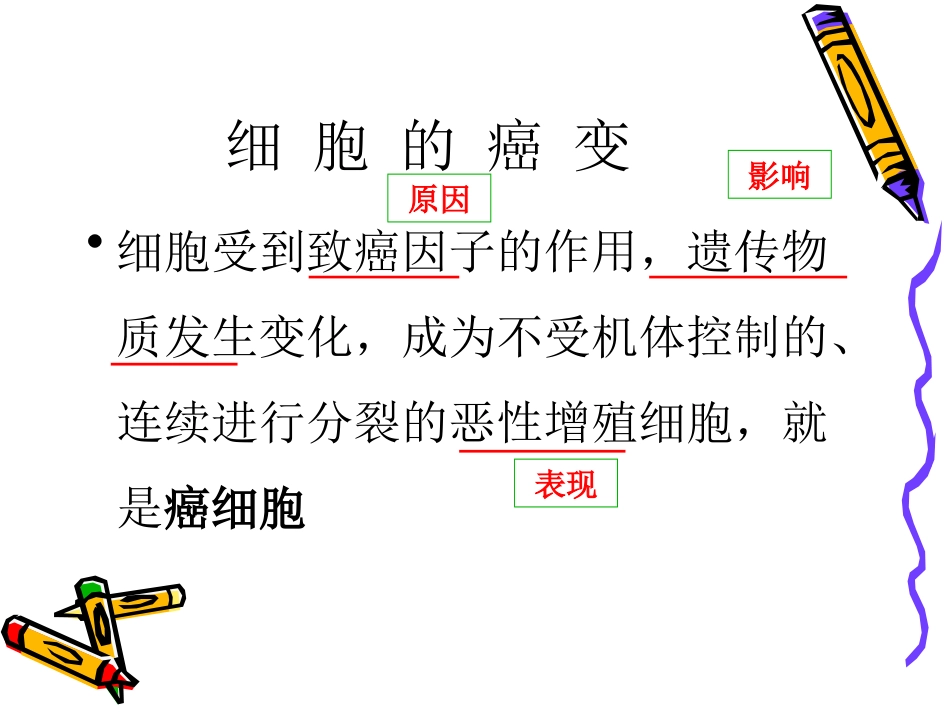 6.4细胞的癌变_第3页