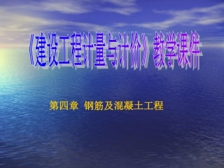 现浇砼板及其他