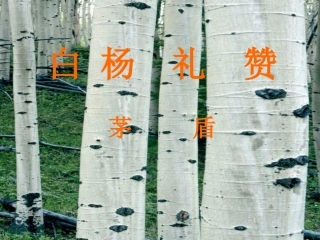白杨礼赞正式