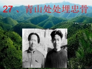 请上处处埋忠骨(1)
