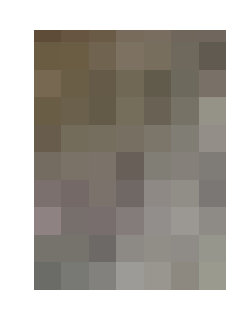 深圳常见绿化植物_第3页