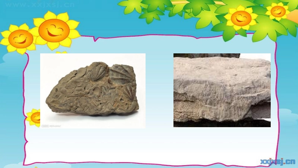 人教2011版小学数学三年级面积和面积单位-(3)_第2页