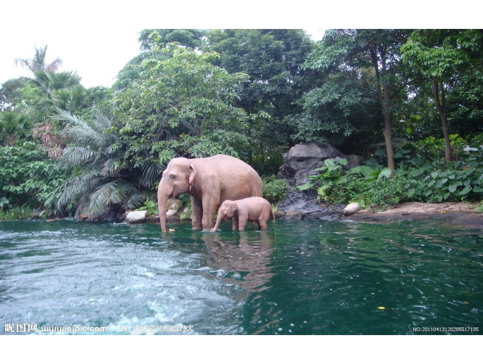 中班美术活动;大象_第3页