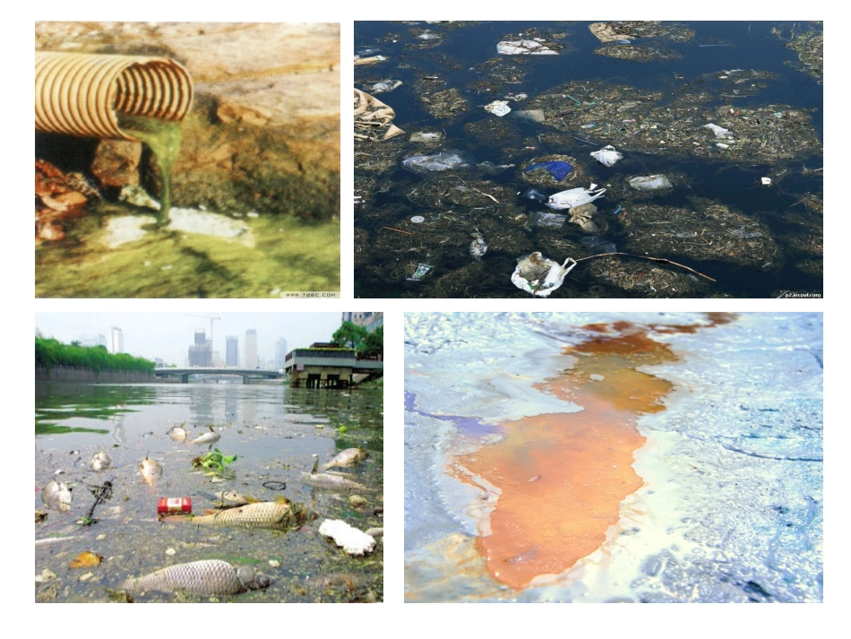 4-6污水和污水处理_第2页