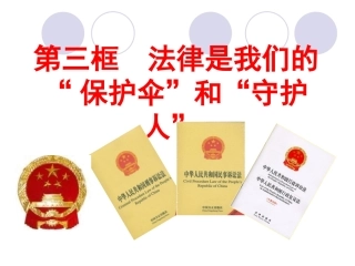 14-3--法律是我们的“保护伞“”和守护人”