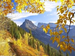 2015年最新上课版--9.3我国外交政策的基本目标和宗旨