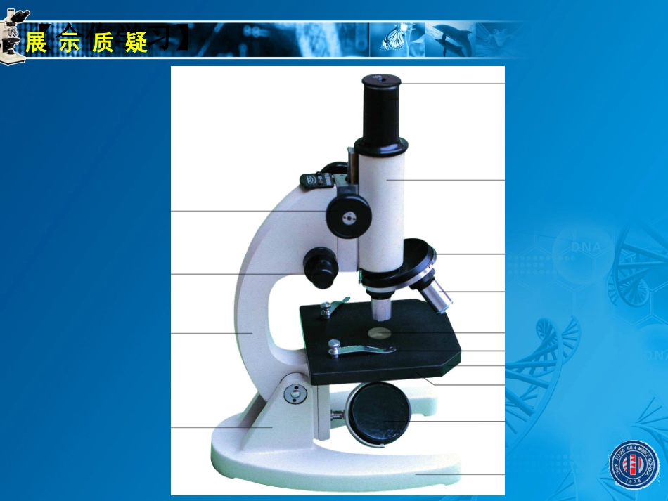 1.2生物学的基本学习方法(二)_第3页