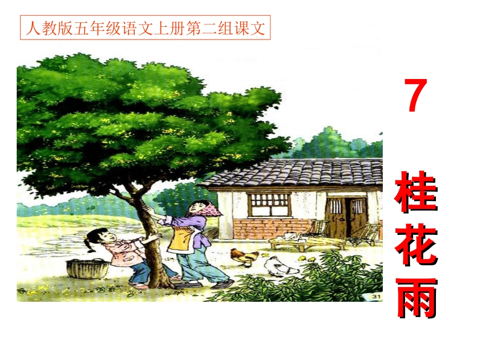 人教版五年级语文上册第二组《07桂花雨》PPT课件_第1页