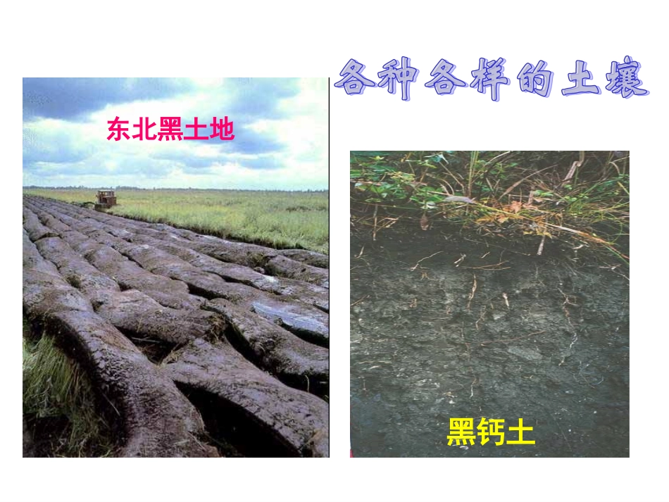各种各样的土壤_第1页