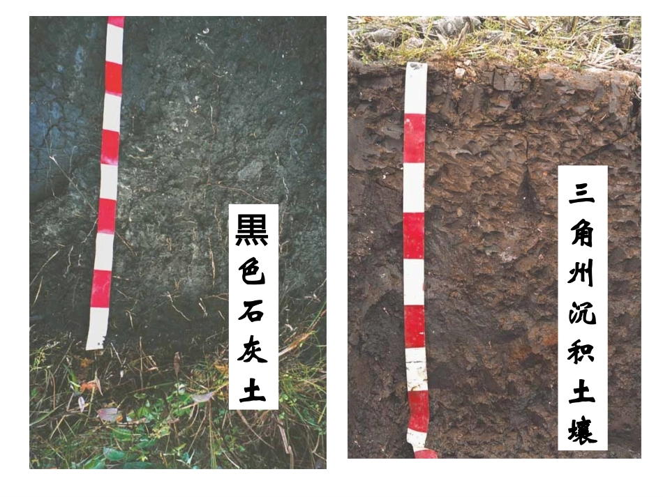 各种各样的土壤_第3页