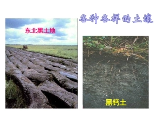 各种各样的土壤