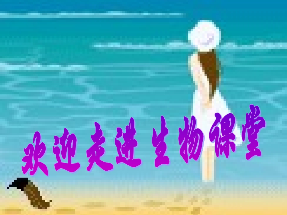 第1课时-致同学_第1页