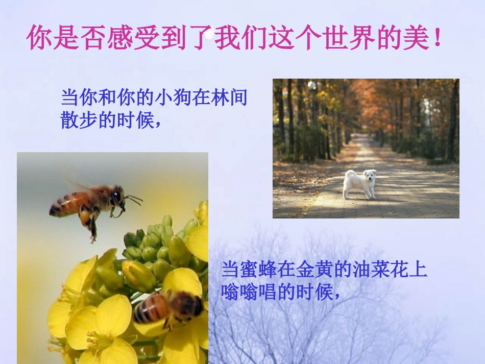 第1课时-致同学_第2页