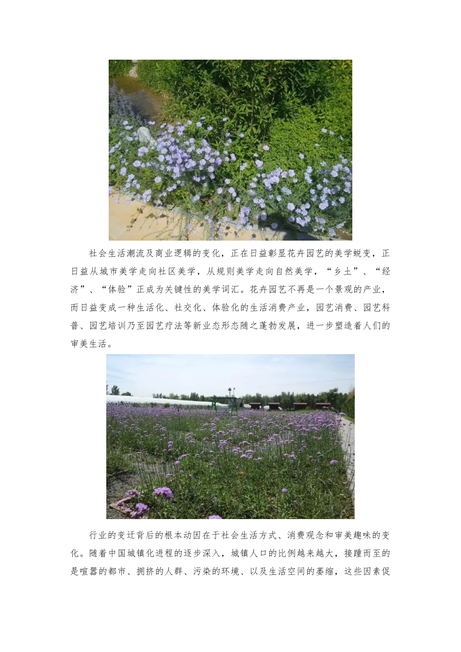 乡村美学｜当乡土花草遇上美学,开启体验新经济_第2页