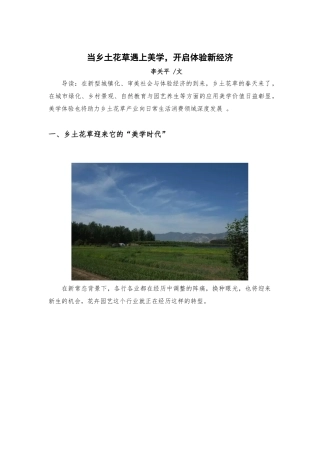 乡村美学｜当乡土花草遇上美学,开启体验新经济