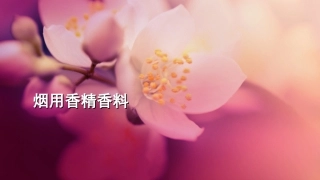 烟用香精香料