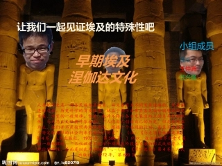 涅伽达文化(431组)