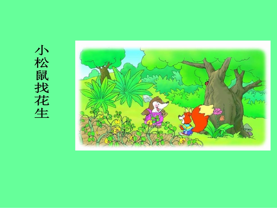 16-小松鼠找花生_第2页