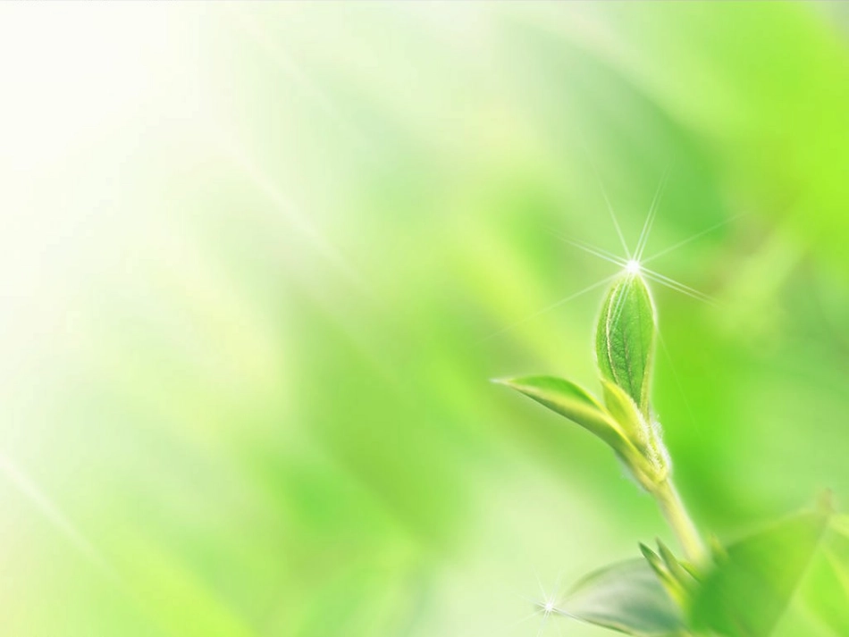 中考复习之应用文_第1页