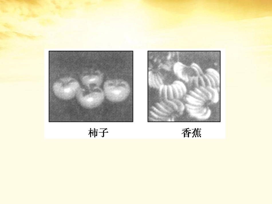 【同步导学】2012高中化学3.2.1乙烯课件新人教版必修2_第3页
