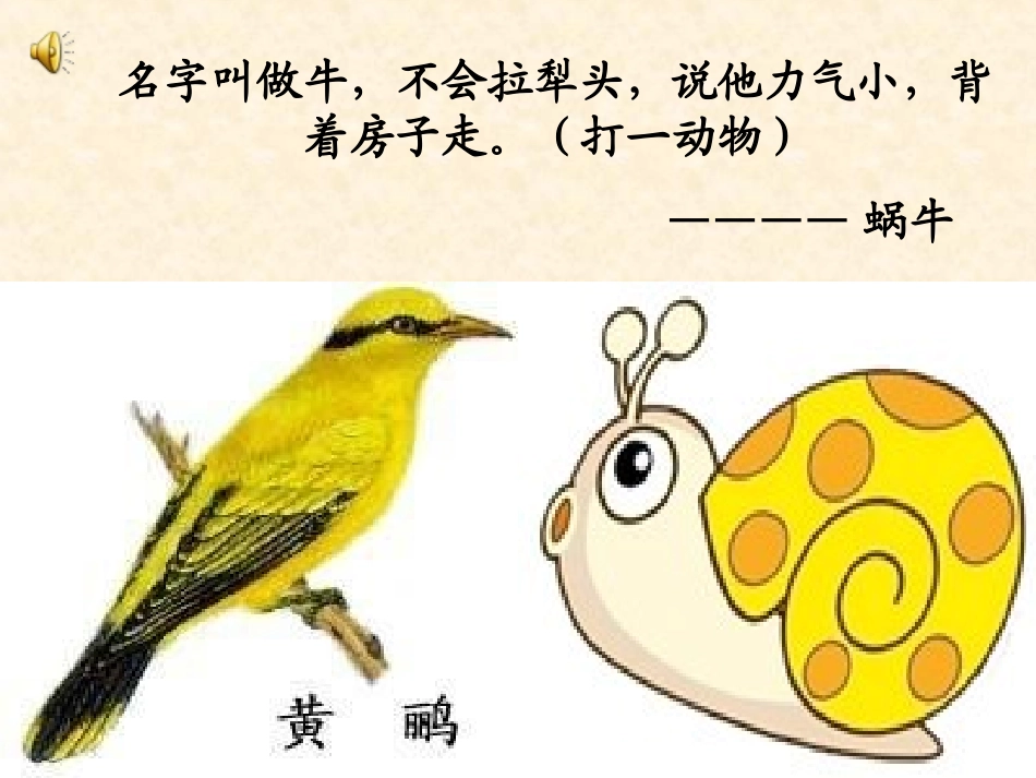 蜗牛与黄鹂鸟课件_第2页