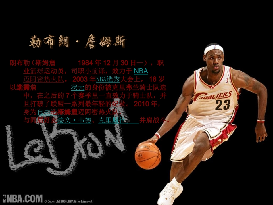 勒布朗·詹姆斯_第2页