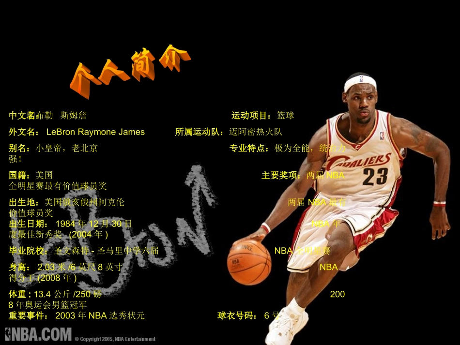 勒布朗·詹姆斯_第3页