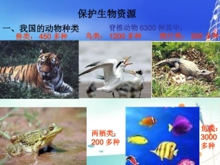 《保护生物资源》课件