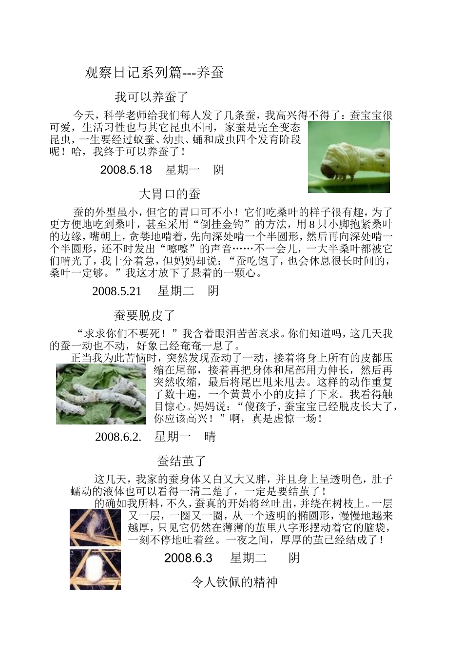 观察日记系列篇---养蚕_第1页