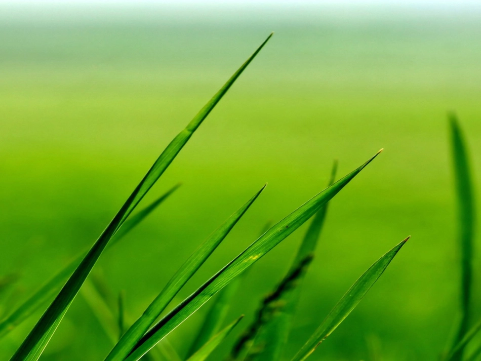 汉字家园二3-改_第1页