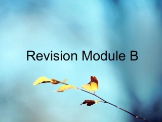 九上revisionmoduleb