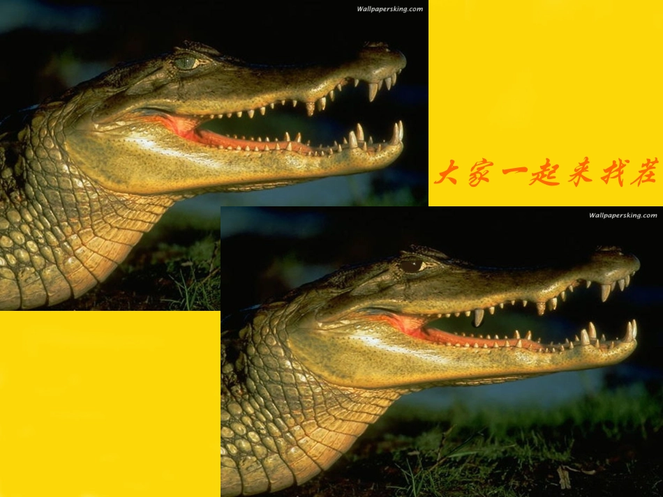 07远古的动物_第3页