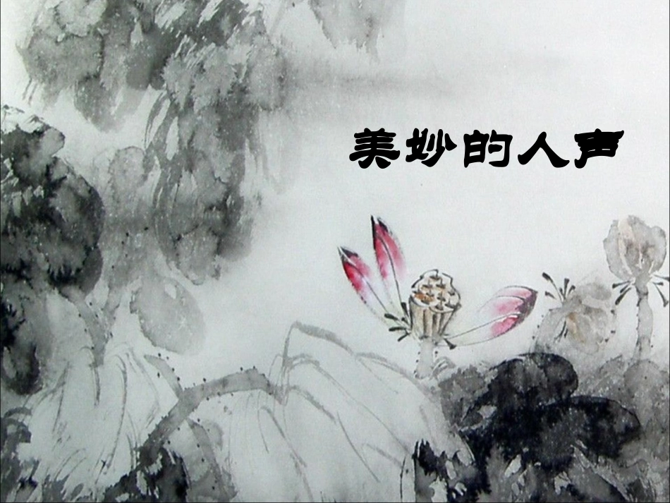 美妙的人声°_第1页