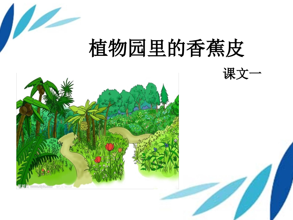 《植物园里的香蕉皮》课文一课件_第1页