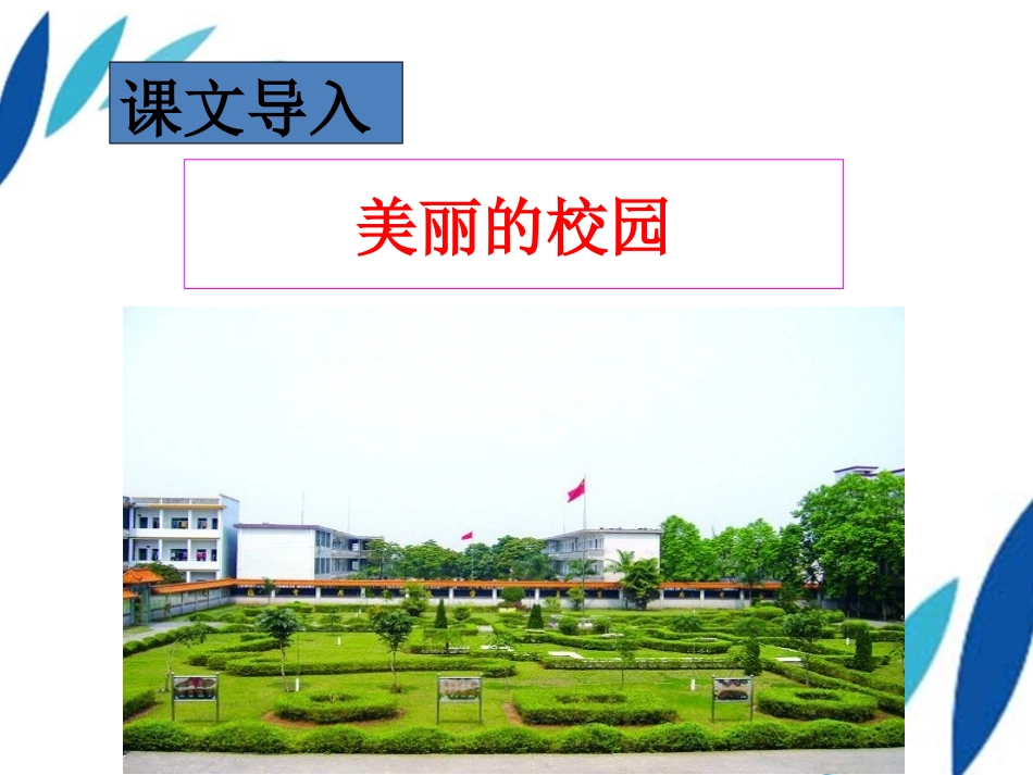 《植物园里的香蕉皮》课文一课件_第2页