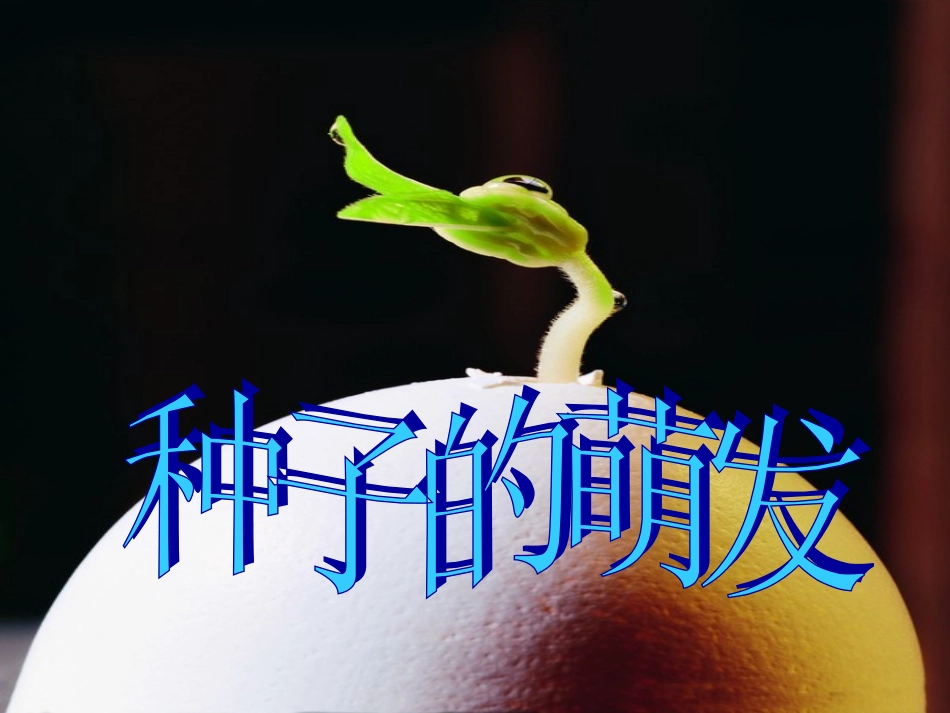 142种子的萌发_第1页