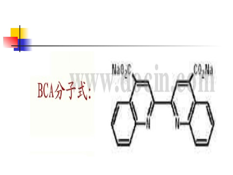 血清蛋白质浓度定量测定_第3页