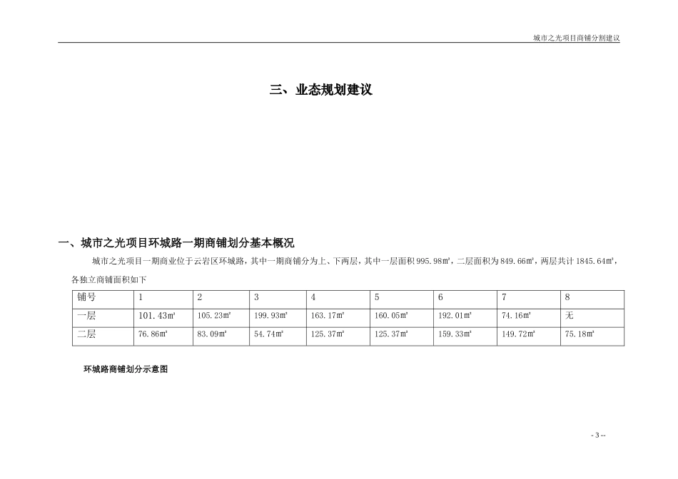 城市之光商铺分割建议-20130130_第3页