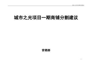 城市之光商铺分割建议-20130130