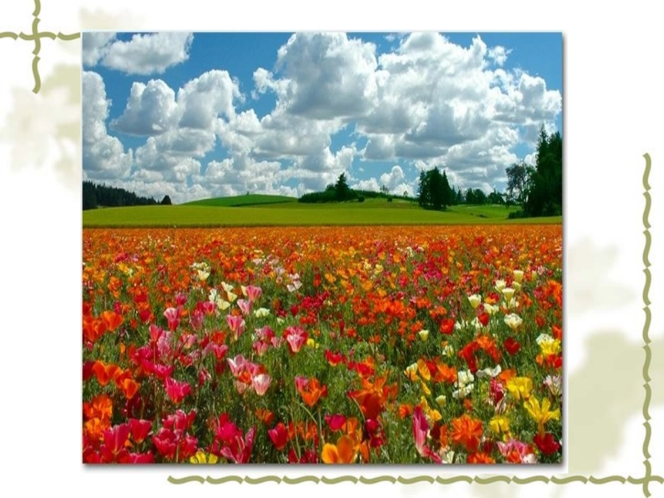 高尔基和他的儿子PPT_第2页