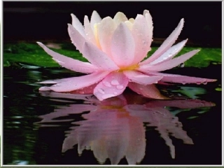 香菱学诗教学课件