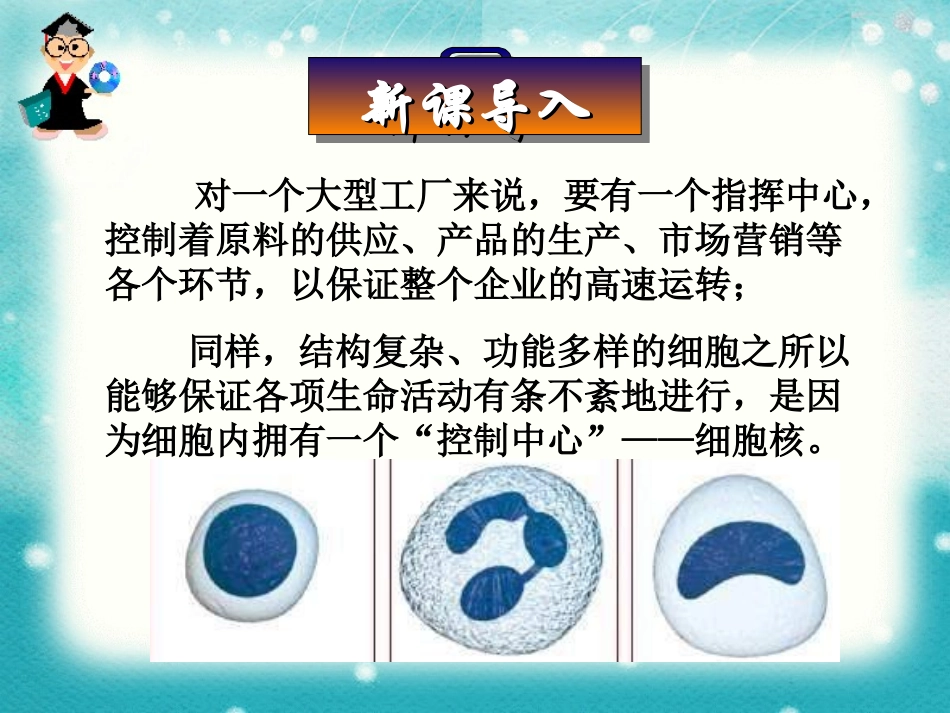 人教版高中生物必修一__3.3细胞核_第1页