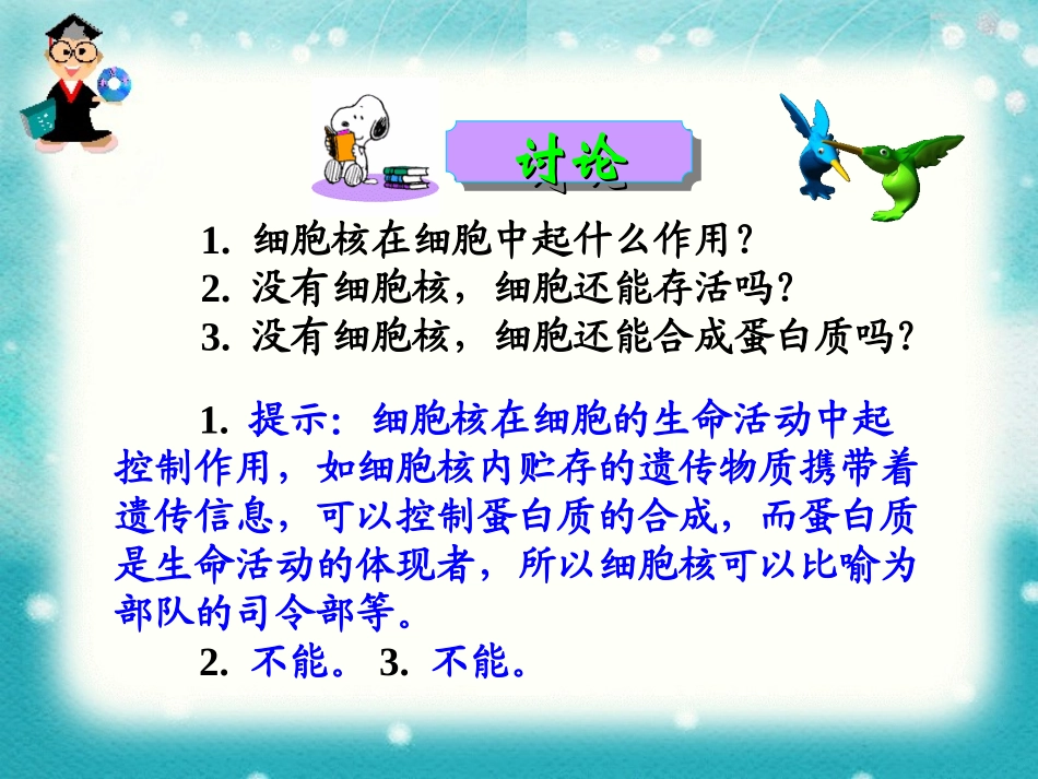 人教版高中生物必修一__3.3细胞核_第2页