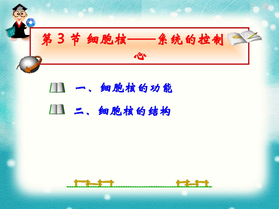人教版高中生物必修一__3.3细胞核_第3页