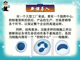 人教版高中生物必修一__3.3细胞核